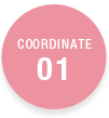 COORDINATE01