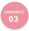 COORDINATE03